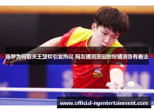 陈梦为何取关王楚钦引发热议 网友猜测原因纷纷猜测各有看法 陈梦为何取关王楚钦引发热议 网友猜测原因纷纷猜测各有看法
