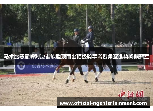 马术比赛巅峰对决谁能脱颖而出顶级骑手激烈角逐谁将问鼎冠军
